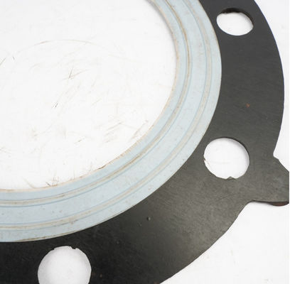 PTFE Composite Rubber Diaphragm For Diaphragm Valve Air Operated Pump
