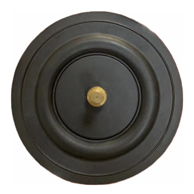 Dosificación del diafragma de la bomba de medición del diafragma EPDM PTFE del ajuste de la bomba de medición de la alimentación el reactivo